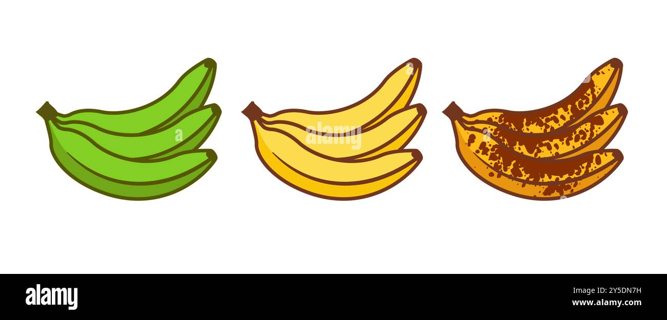 Banana matura frutta illustrazione verde matura cattivo cibo. Icona vettore banana maturo Illustrazione Vettoriale