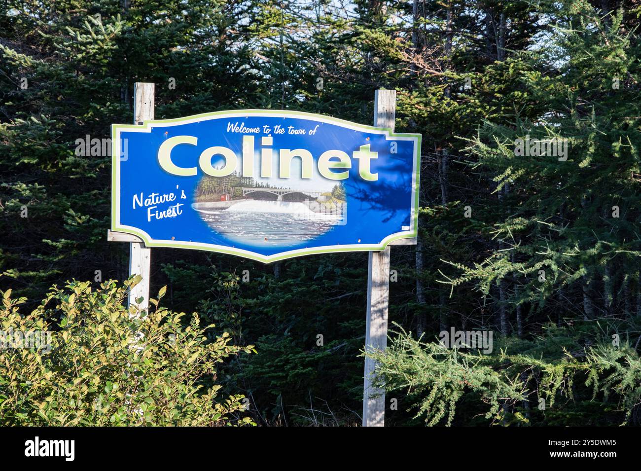 Benvenuto nella città di Colinet, insegna sulla NL 91 a Newfoundland & Labrador, Canada Foto Stock