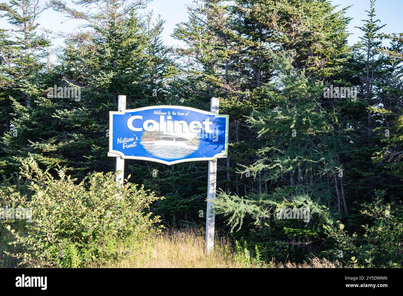 Benvenuto nella città di Colinet, insegna sulla NL 91 a Newfoundland & Labrador, Canada Foto Stock