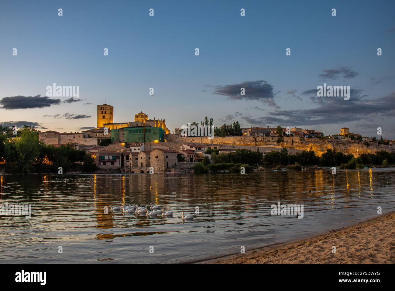 Zamora, destacando la Catedral, vista desde el otro lado del Río Duero, con los reflejos de las luces en el agua y los patos entre ellos. España Foto Stock