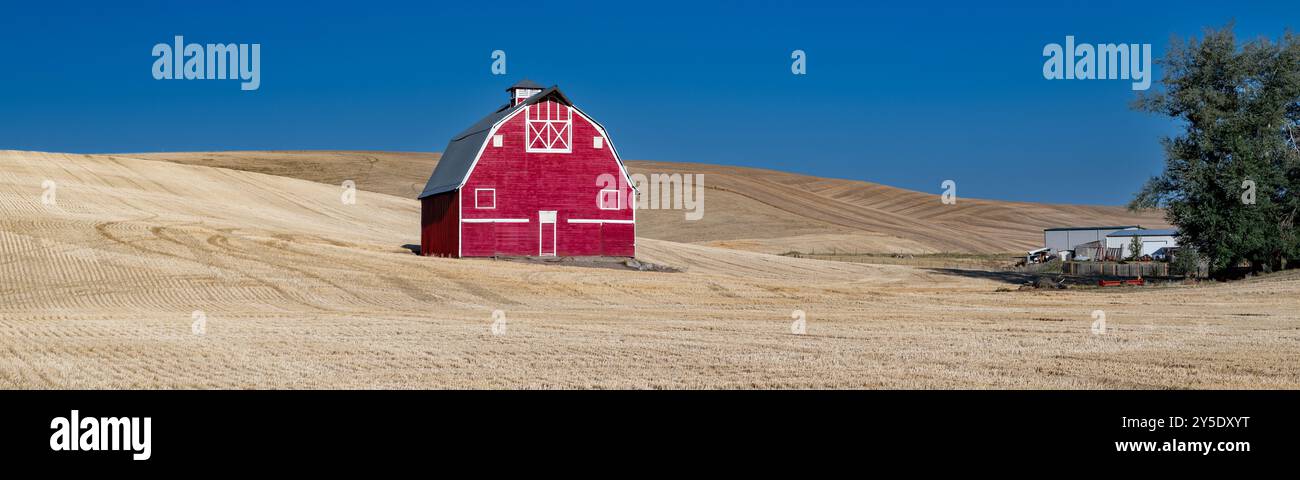 Campo agricolo raccolto con fienile rosso e pano azzurro Foto Stock