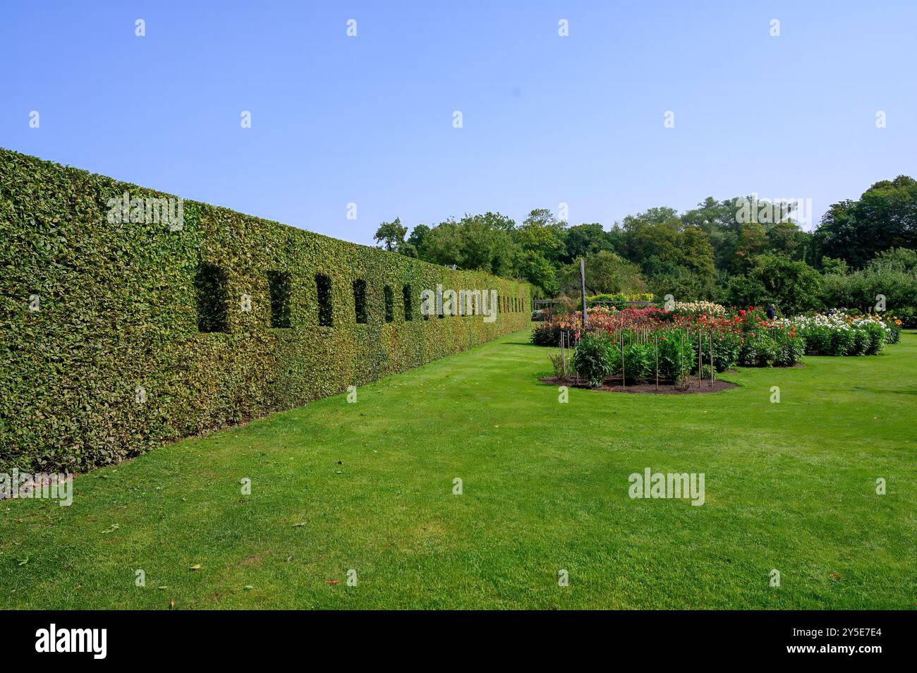 Un giardino splendidamente curato con fiori vivaci accanto a una siepe ben rifinita in piena luce del giorno Foto Stock