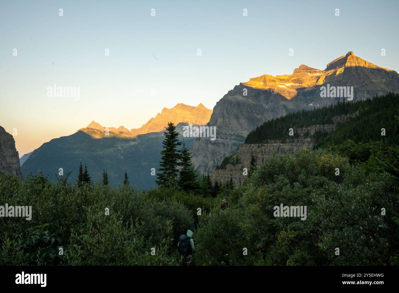 Backpackers Traverse i cespugli ricoperti sotto il Boulder Pass nel Glacier National Park Foto Stock