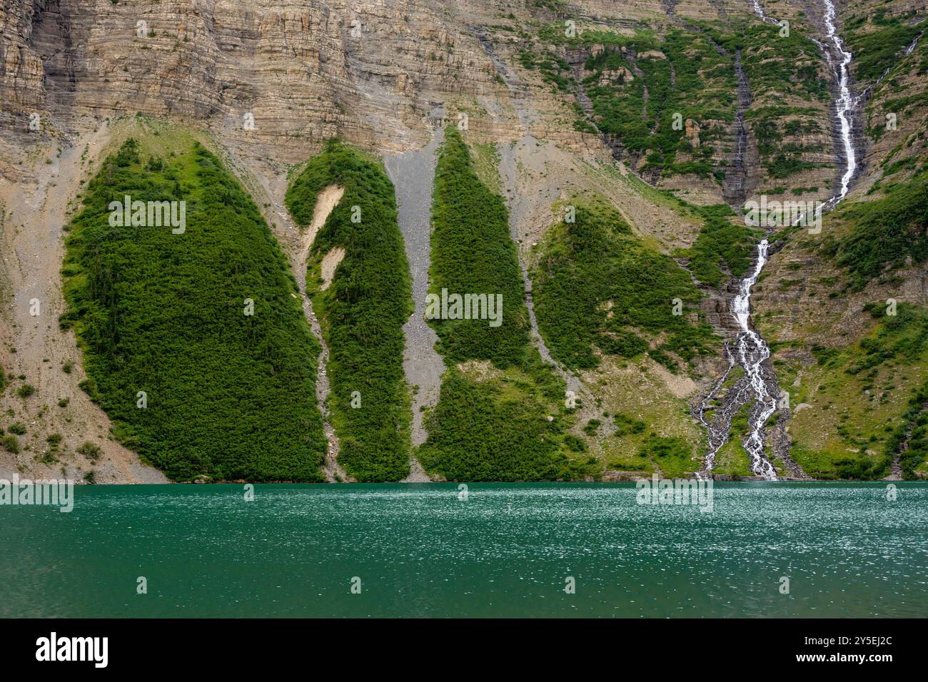 Le aree verdi brillanti sono rotte da Avalanche Chutes e Water Fall sul lago Frances nel Glacier National Park Foto Stock