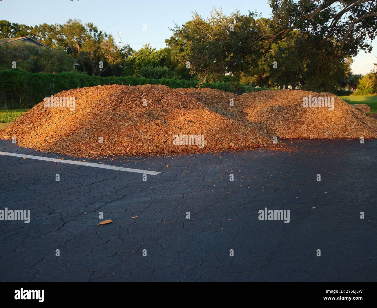 grande pacciame marrone chiaro con luce solare e ombra. Impilato nell'angolo di un parcheggio pavimentato vicino ai marciapiedi gialli. Grandi alberi e erba verde in t Foto Stock grande pacciame marrone chiaro con luce solare e ombra. Impilato nell'angolo di un parcheggio pavimentato vicino ai marciapiedi gialli. Grandi alberi e erba verde in t Foto Stock