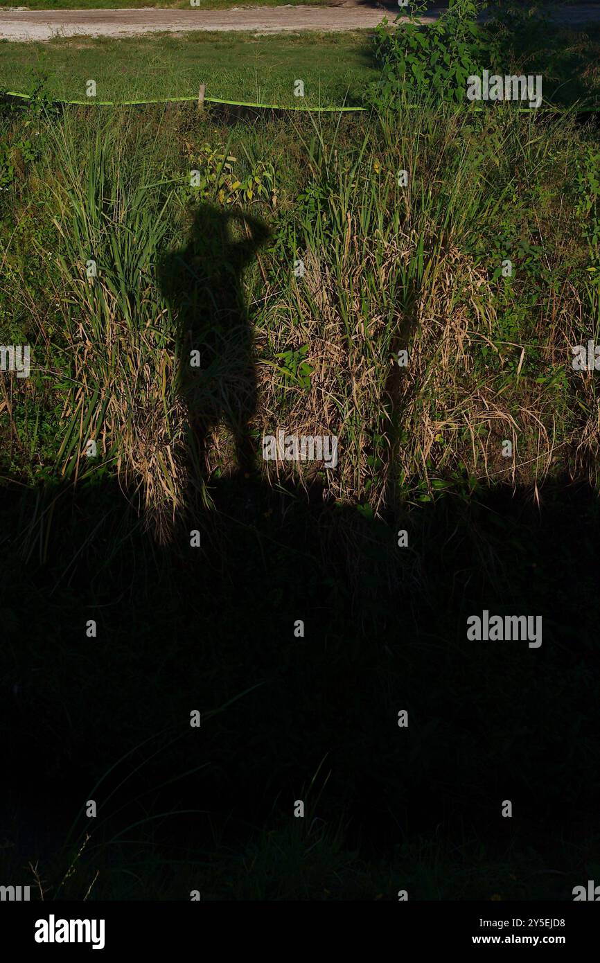 Vista verticale sagoma di un uomo in piedi al sole su un canale di drenaggio verde e marrone essiccato con una recinzione temporanea di limo sul lato opposto di d Foto Stock