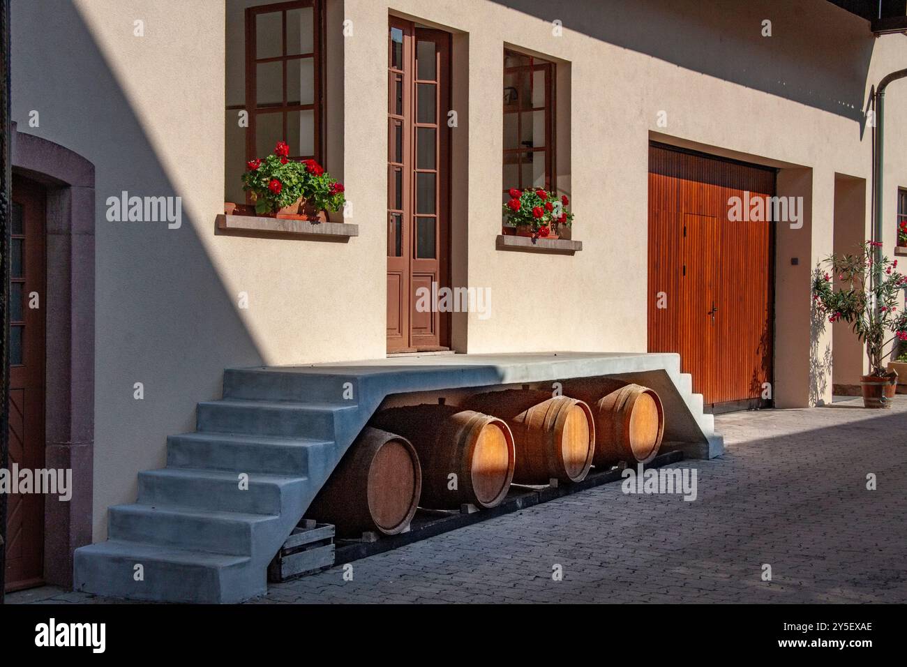 Una famiglia nel pittoresco villaggio di Eguisheim, in Francia, espone il suo deposito di vino alsaziano in botti di rovere. Foto Stock