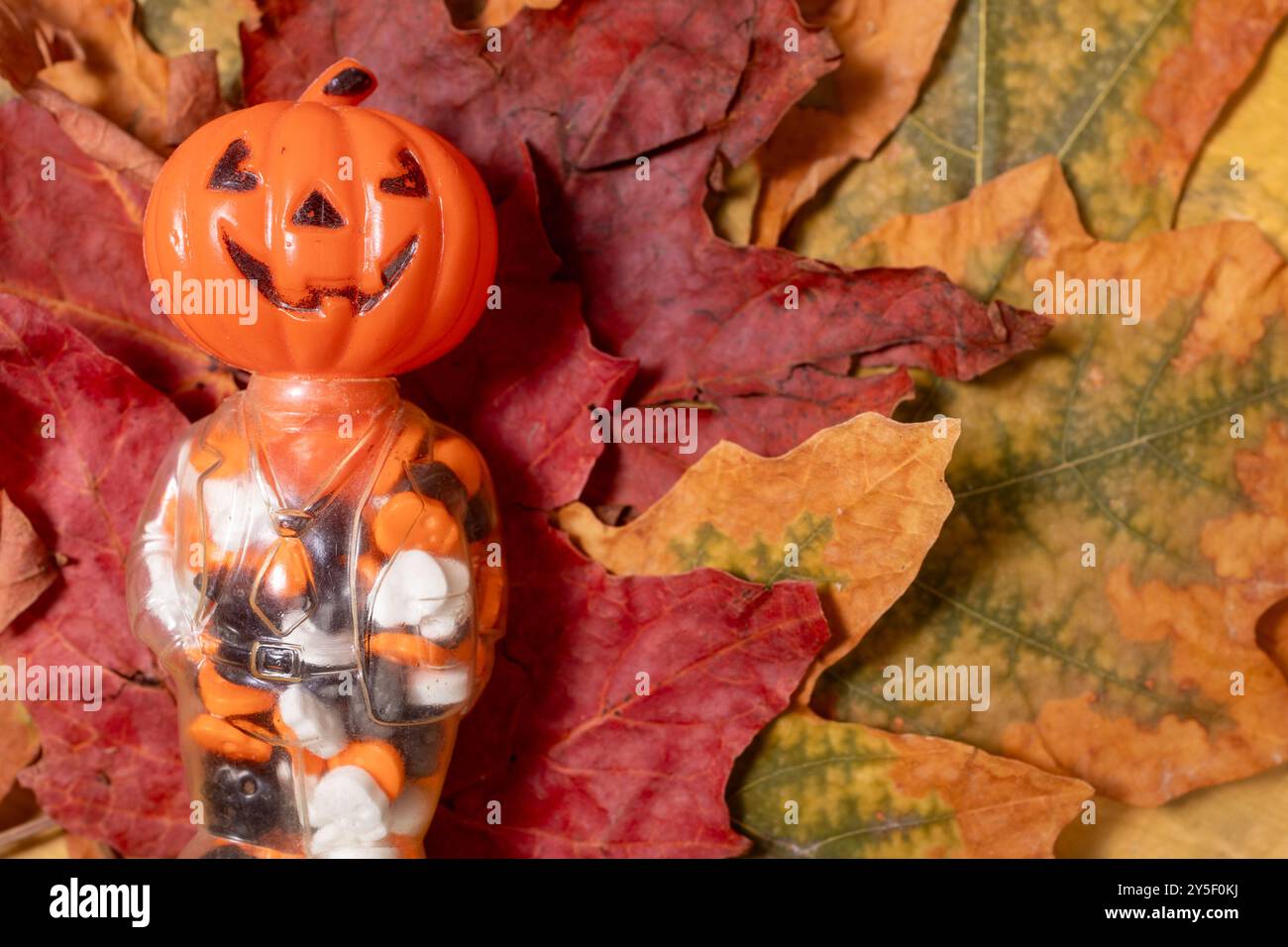 Contenitore di caramelle in plastica vintage Orange Halloween Jack o lantern Pumpkin Foto Stock
