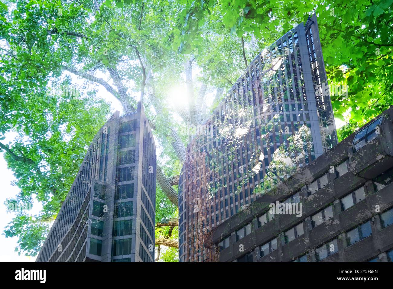 Conservazione dell'ambiente. Doppia esposizione di edifici e alberi moderni, vista ad angolo basso Foto Stock