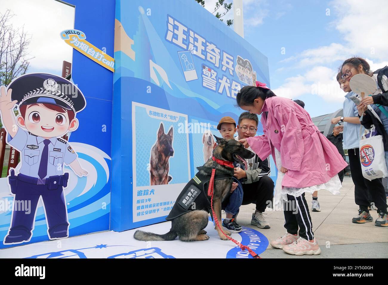 YANTAI, CINA - 21 SETTEMBRE 2024 - i cittadini si avvicinano ai cani della polizia all'Open Day del campo di polizia nella città di Yantai, nella provincia di Shandong della Cina orientale, settembre Foto Stock