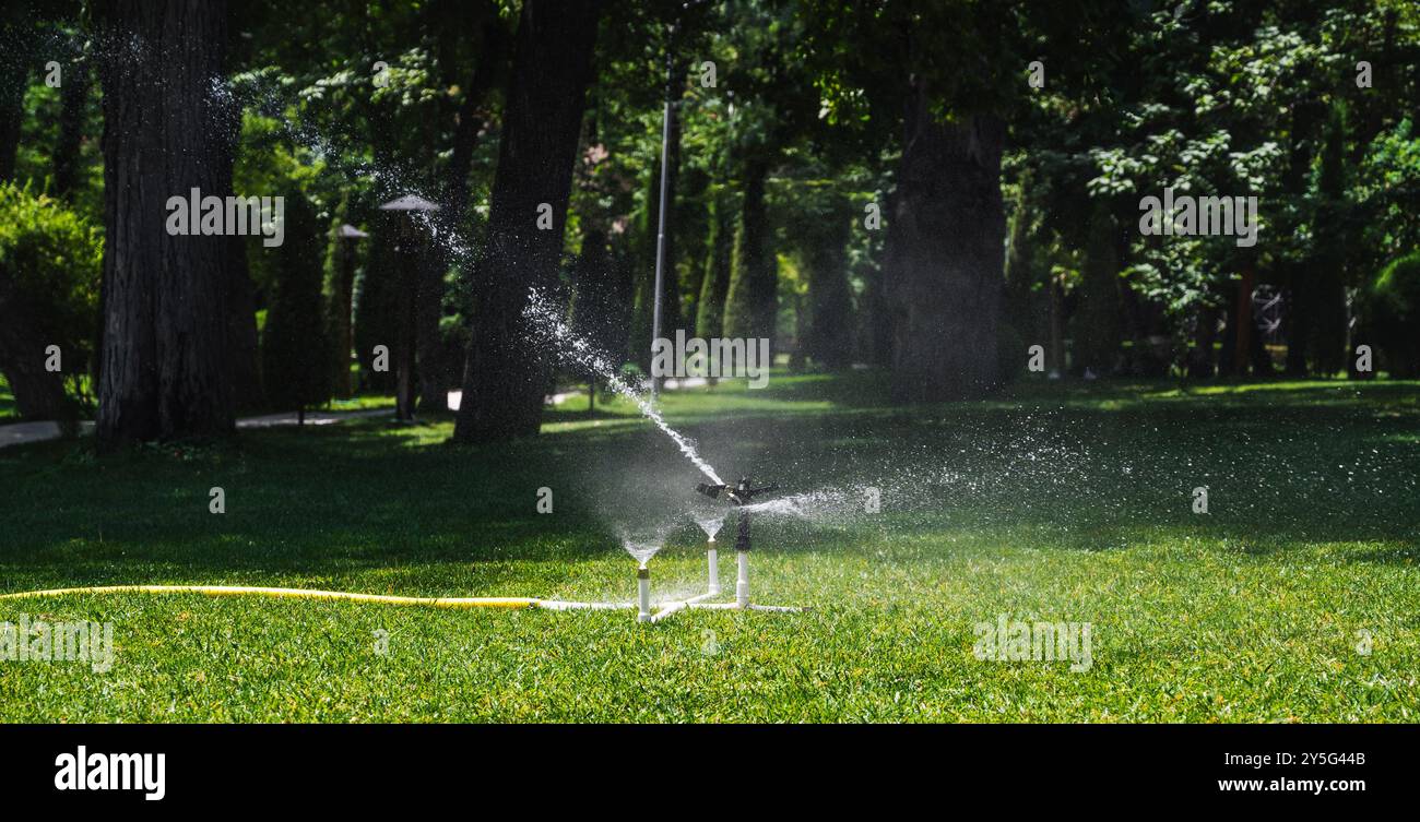 l'acqua di irrigazione irriga il prato verde con l'erba nel parco. Scatto panoramico ampio Foto Stock