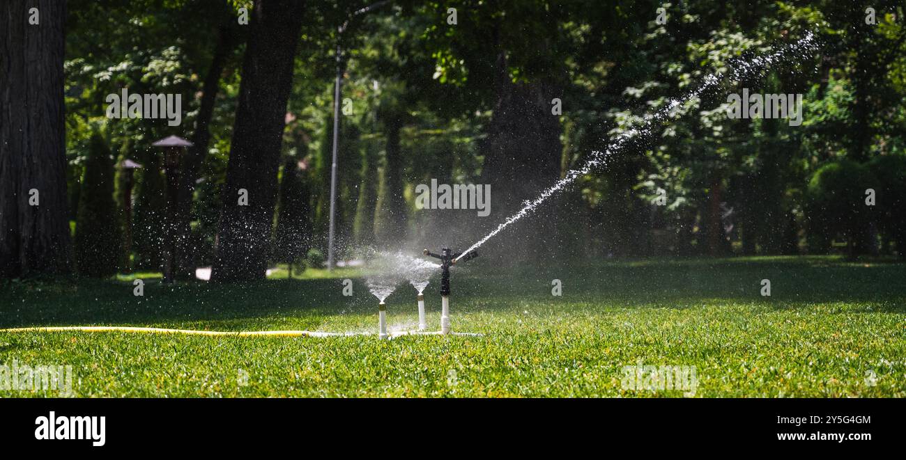l'acqua di irrigazione irriga il prato verde con l'erba nel parco. Scatto panoramico ampio Foto Stock