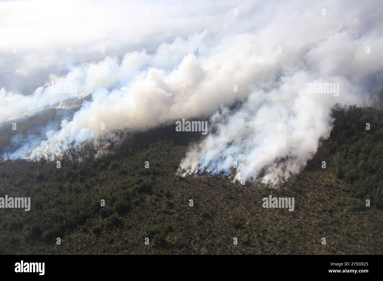 Kilauea, Stati Uniti d'America. 18 agosto 2024. Kilauea, Stati Uniti d'America. 18 agosto 2024. Vapore e gas vulcanici si diffondono dall'eruzione della East Rift zone causando l'incendio della foresta all'interno del cratere Napau del vulcano Kilauea al Parco Nazionale dei Vulcani delle Hawaii, 18 settembre 2024 alle Hawaii. Crediti: Michael Zoeller/USGS/Alamy Live News Foto Stock