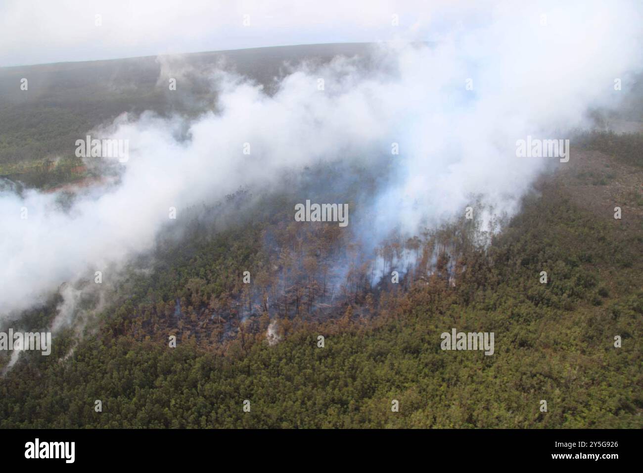 Kilauea, Stati Uniti d'America. 17 settembre 2024. Kilauea, Stati Uniti d'America. 17 settembre 2024. Vapore e gas vulcanici si diffondono dall'eruzione della East Rift zone causando l'incendio della foresta all'interno del cratere Napau del vulcano Kilauea al Parco Nazionale dei Vulcani delle Hawaii, 17 settembre 2024 alle Hawaii. Crediti: Michael Zoeller/USGS/Alamy Live News Foto Stock