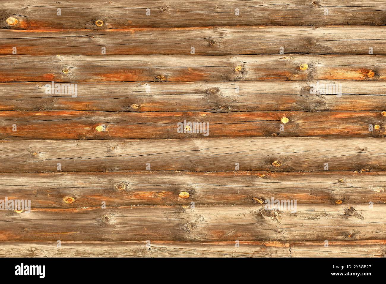 Struttura della parete in legno. Primo piano di vecchie mura di legno. Sfondo, vuoto per la progettazione. Foto Stock