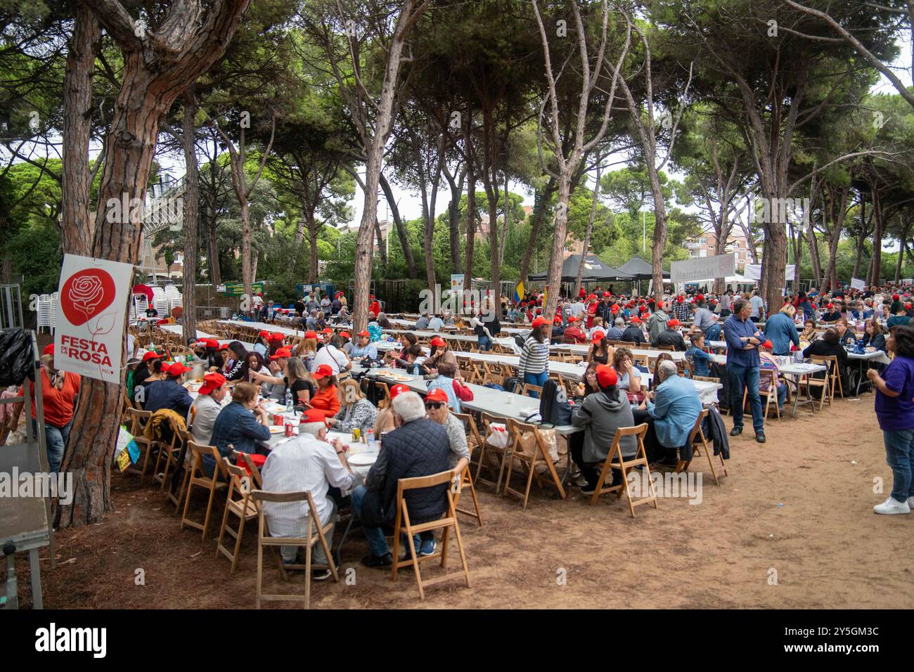 I socialisti catalani celebrano la Festa de la Rosa, la festa più popolare del socialismo spagnolo, dove quest'anno si sentono particolarmente felici per aver raggiunto la presidenza della Generalitat. Los socialistas catalanes celebra la Festa de la Rosa, la fiesta más multitudinaria del socialismo español, donde este año se sienten especialmente felices por haber conseguido la presidencia de la Generalitat. News, Politics, Gava Barcelona Spain nella foto: domenica 22 settembre 2024 (foto di Eric Renom/LaPresse) i socialisti catalani celebrano la Festa de la Rosa, il mos Foto Stock
