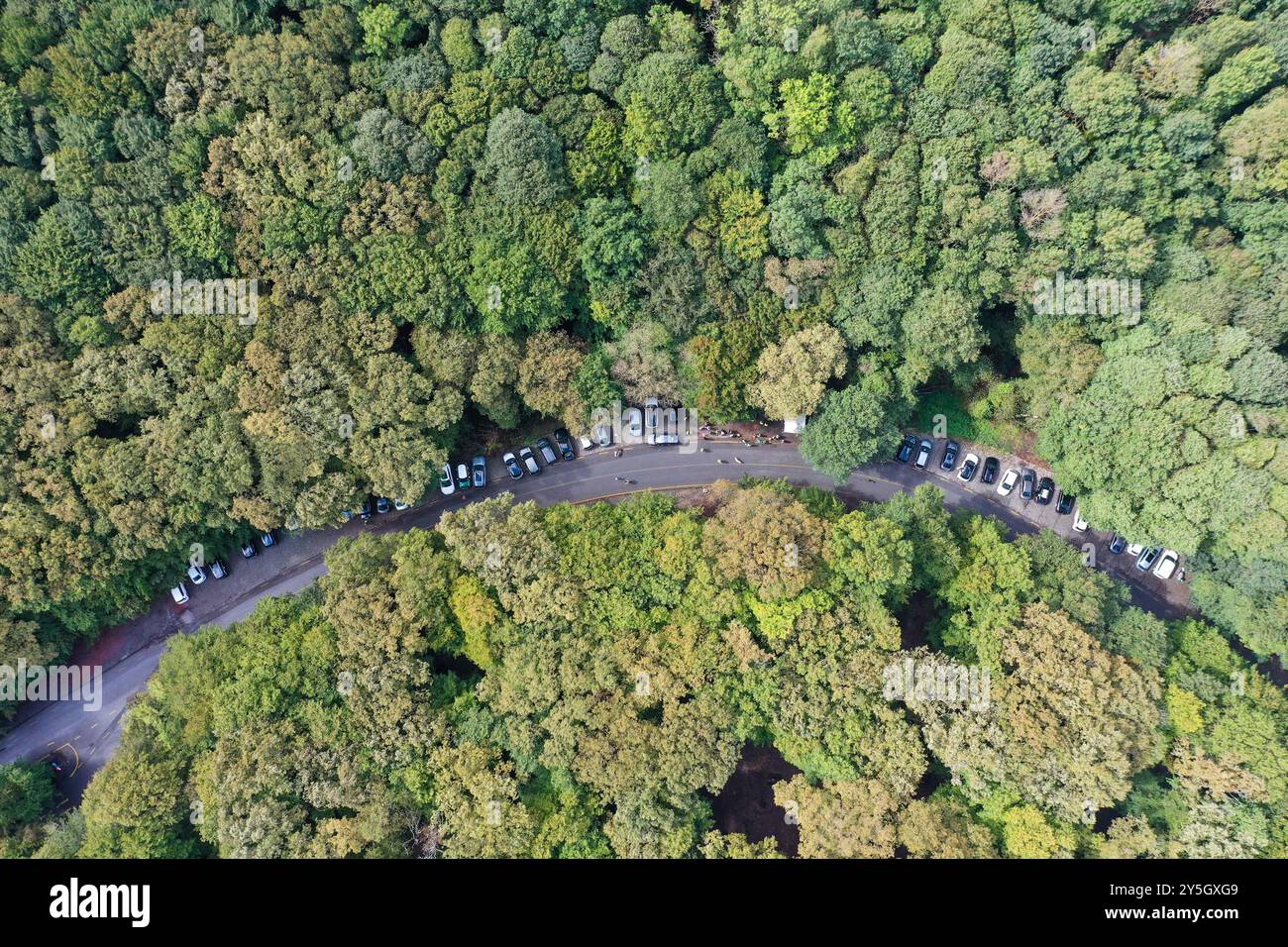 Istanbul. 21 settembre 2024. Una foto aerea scattata il 21 settembre 2024 mostra una vista della foresta di Belgrado a Istanbul, T¨¹rkiye. La foresta di Belgrado si trova nella parte nord di Istanbul e copre un'area di oltre 5.400 ettari ed è adatta per escursioni a piedi per la gente del posto e per i turisti. Crediti: Liu lei/Xinhua/Alamy Live News Foto Stock