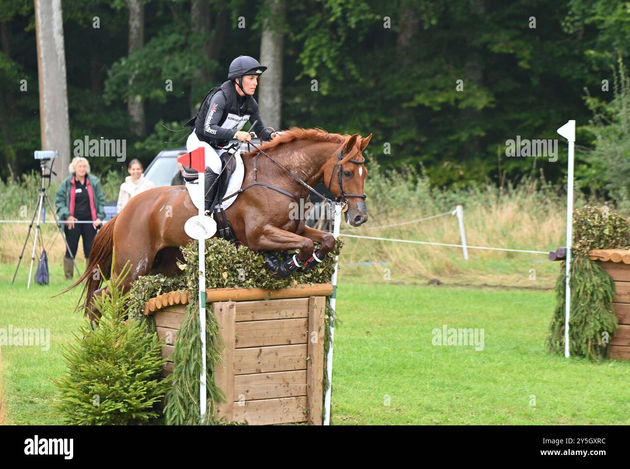 Dana Cooke su Quatro, fase di cross country del concorso CCI4* -L, prove di cavalli internazionali Blenheim Palace 2024, Blenheim Palace, Woodstock, Oxf Foto Stock