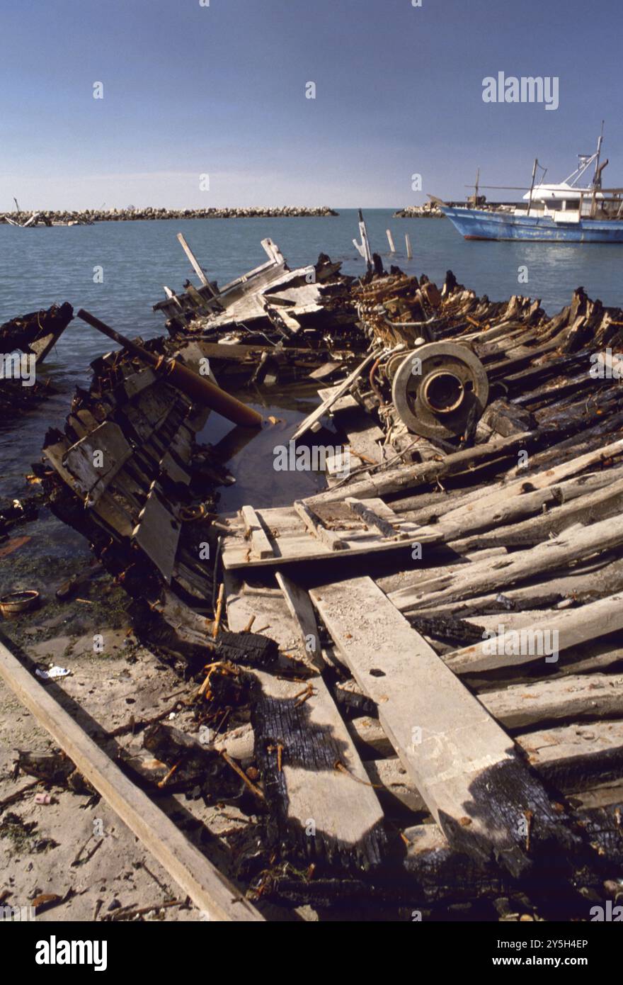 Prima guerra del Golfo: L'8 marzo 1991 distrutta dall'esercito iracheno in fuga, i resti della flotta di sambuco del Kuwait gettano il vecchio porto delle navi a Kuwait City. Le barche da pesca in legno sono il simbolo nazionale del Kuwait. Foto Stock