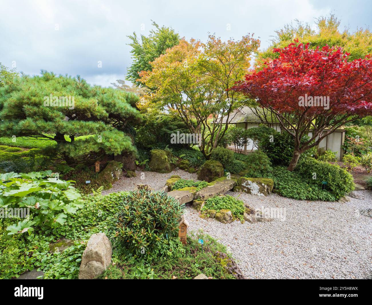 Vista del primo autunno del giardino giapponese progettato da Masao Fukuhara presso il Giardino Botanico Nazionale del Galles Foto Stock