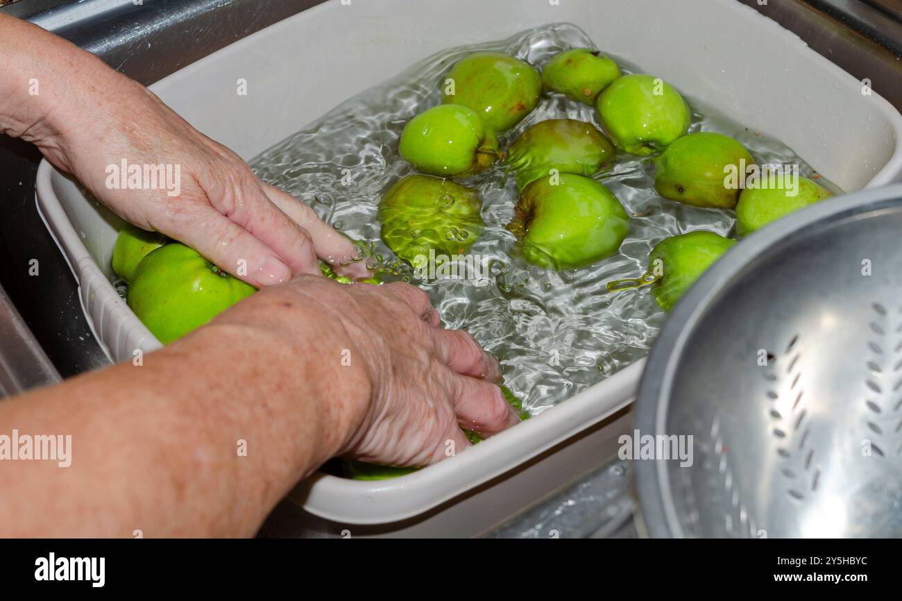 Mani femminili che lavano le mele verdi in un lavabo in preparazione della cottura o della conservazione con un colino a lato Foto Stock