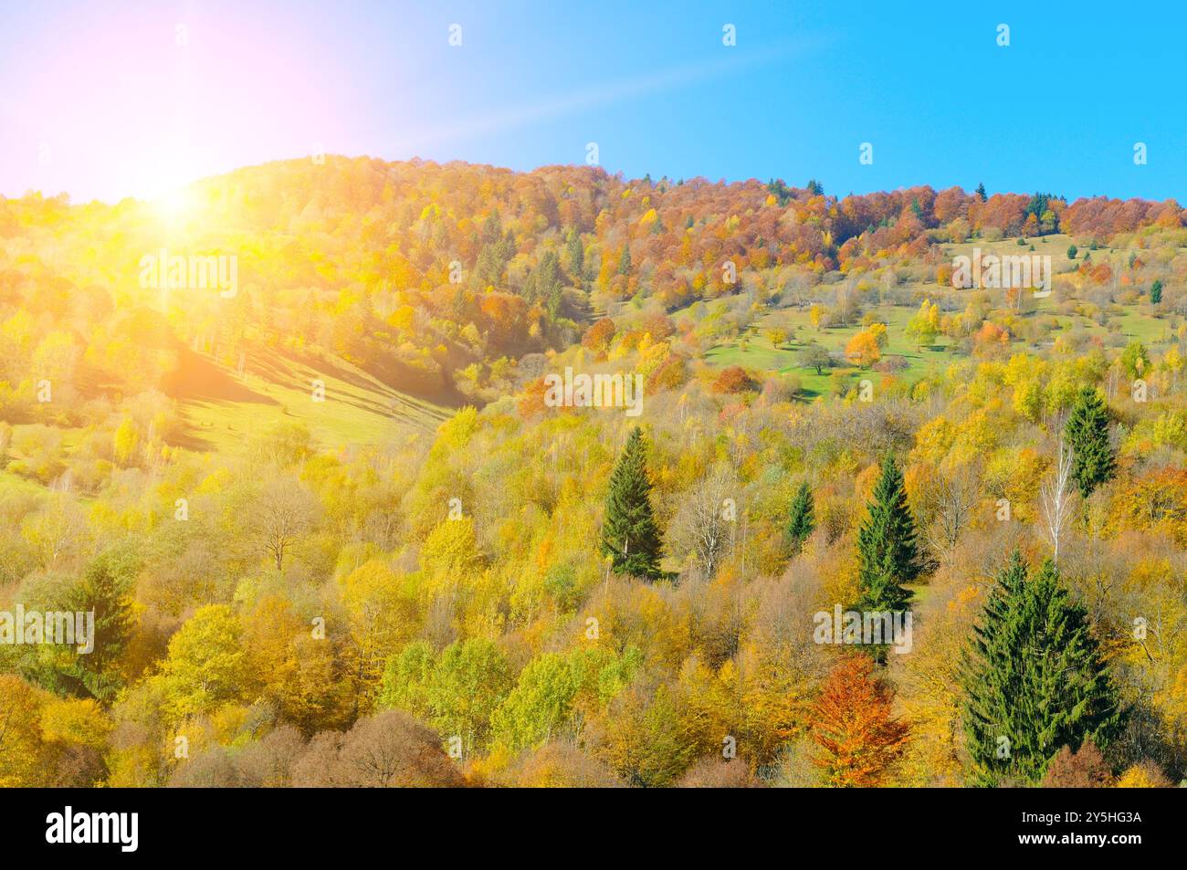 Pittoresco paesaggio autunnale con catene montuose, foreste decidue e cielo blu. Carpazi, Ucraina. Foto Stock