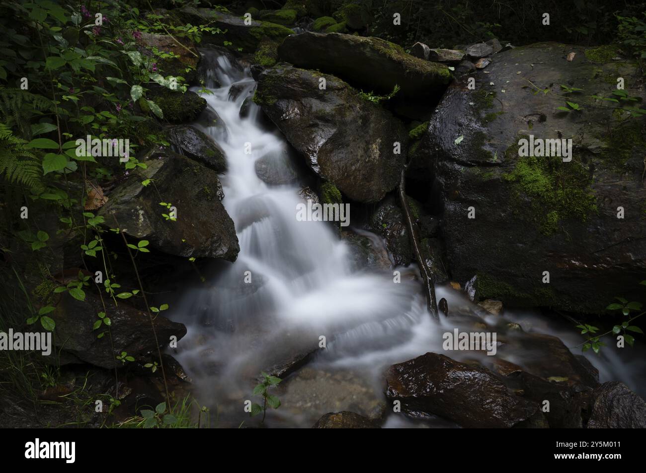 Cascata sullo Schenner Waalweg, Neuwaal, ruscello, esposizione prolungata, scena, scena, alto Adige, Provincia Autonoma di Bolzano, Italia, Europa Foto Stock