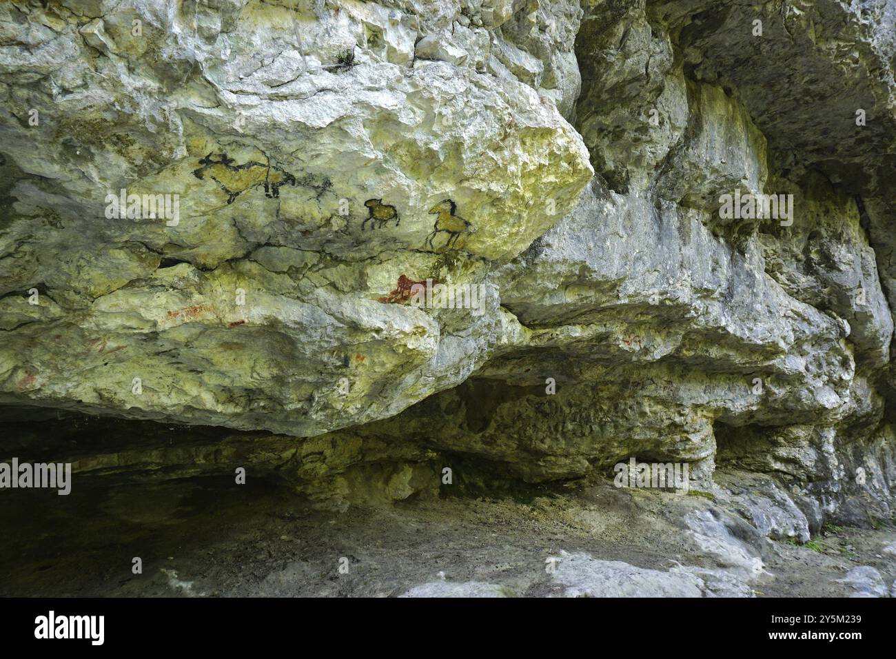 Rocce sul sentiero escursionistico premium Hohenwittlingensteig, riserva della biosfera albese sveva, Baden-Wuerttemberg, Germania, formazione rocciosa sull'hiki premium Foto Stock