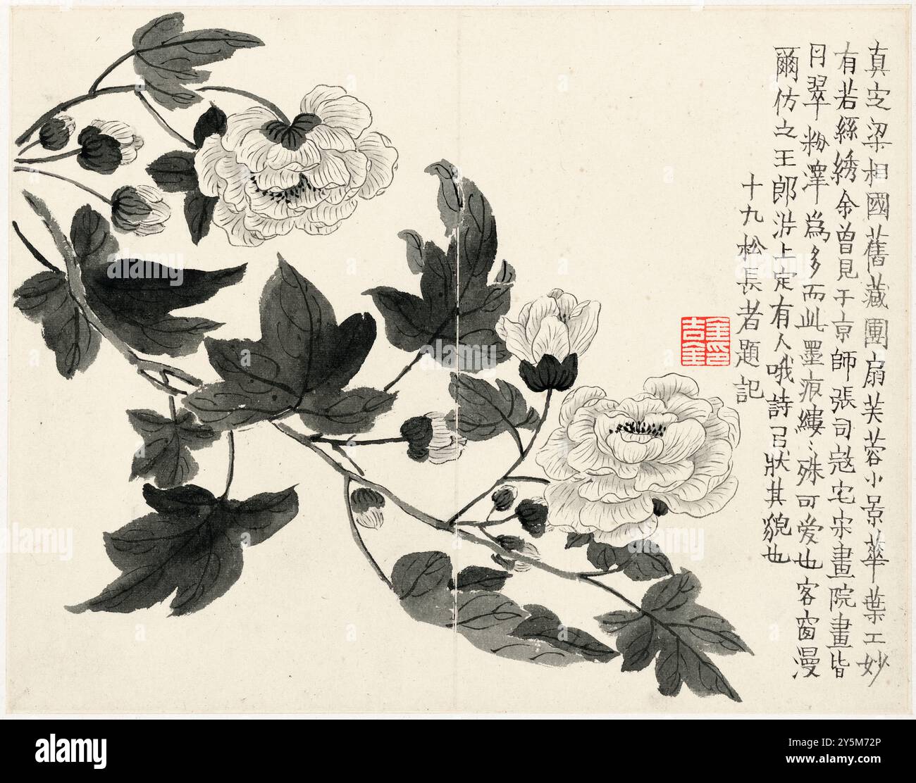 Peonies, del pittore e calligrafo cinese Jin Nong (金農) creato nel 1754. Dinastia Qing, inchiostro su carta, uno dei 12 dipinti vari. Foto Stock