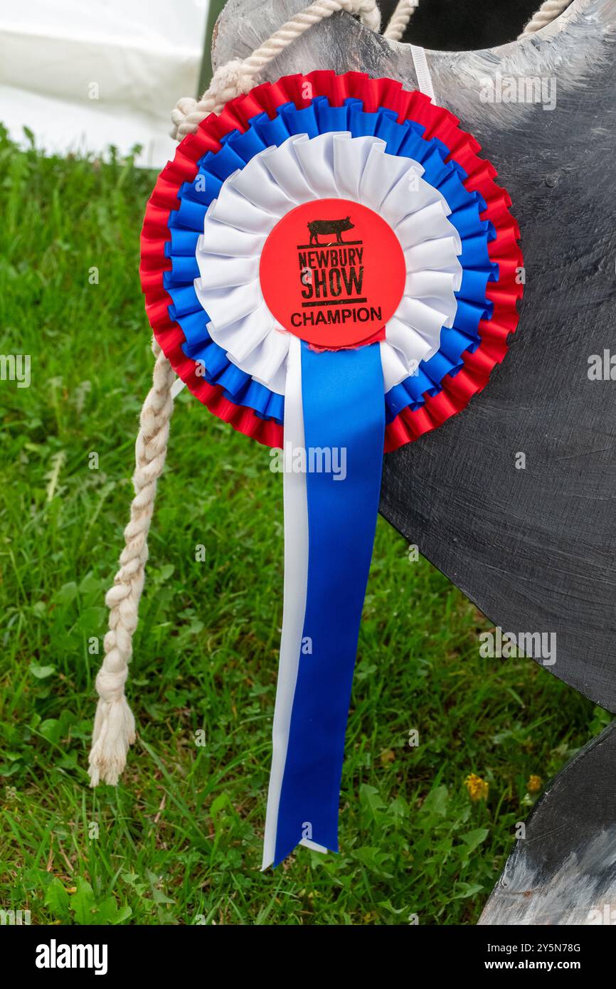 Newbury Show, 21 settembre 2024. Il popolare evento annuale si è svolto al Newbury Showground, Berkshire, Inghilterra, Regno Unito, durante il fine settimana. Lo spettacolo include una varietà di mostre di fama, cibo e campagna e attira migliaia di visitatori. Foto Stock Newbury Show, 21 settembre 2024. Il popolare evento annuale si è svolto al Newbury Showground, Berkshire, Inghilterra, Regno Unito, durante il fine settimana. Lo spettacolo include una varietà di mostre di fama, cibo e campagna e attira migliaia di visitatori. Foto Stock
