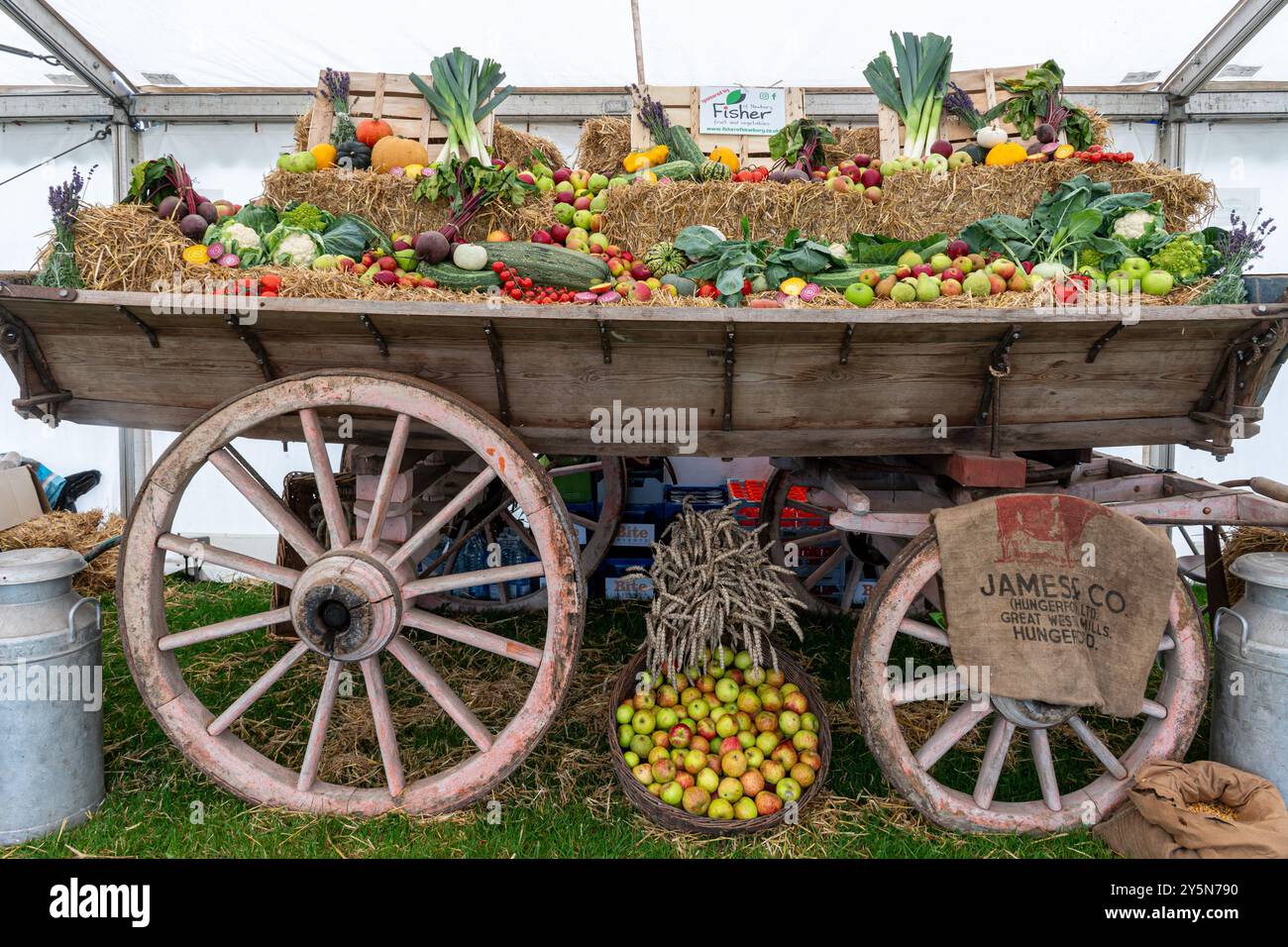 Newbury Show, 21 settembre 2024. Il popolare evento annuale si è svolto al Newbury Showground, Berkshire, Inghilterra, Regno Unito, durante il fine settimana. Lo spettacolo include una varietà di esposizioni agricole, alimentari e di campagna e attira migliaia di visitatori. Nella foto: Un'esposizione di frutta e verdura su un vecchio carro nella tenda dei prodotti. Foto Stock Newbury Show, 21 settembre 2024. Il popolare evento annuale si è svolto al Newbury Showground, Berkshire, Inghilterra, Regno Unito, durante il fine settimana. Lo spettacolo include una varietà di esposizioni agricole, alimentari e di campagna e attira migliaia di visitatori. Nella foto: Un'esposizione di frutta e verdura su un vecchio carro nella tenda dei prodotti. Foto Stock