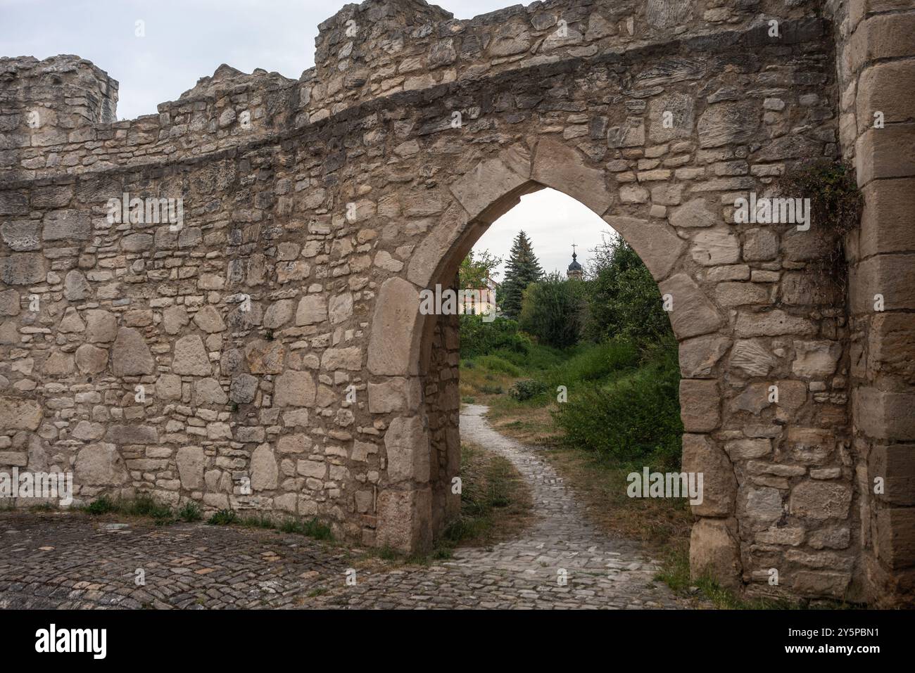 Storico centro storico mura medievali lungo Johannisstrasse (Johannisstraße) a Friburgo, Sassonia-Anhalt, Germania, Europa Foto Stock