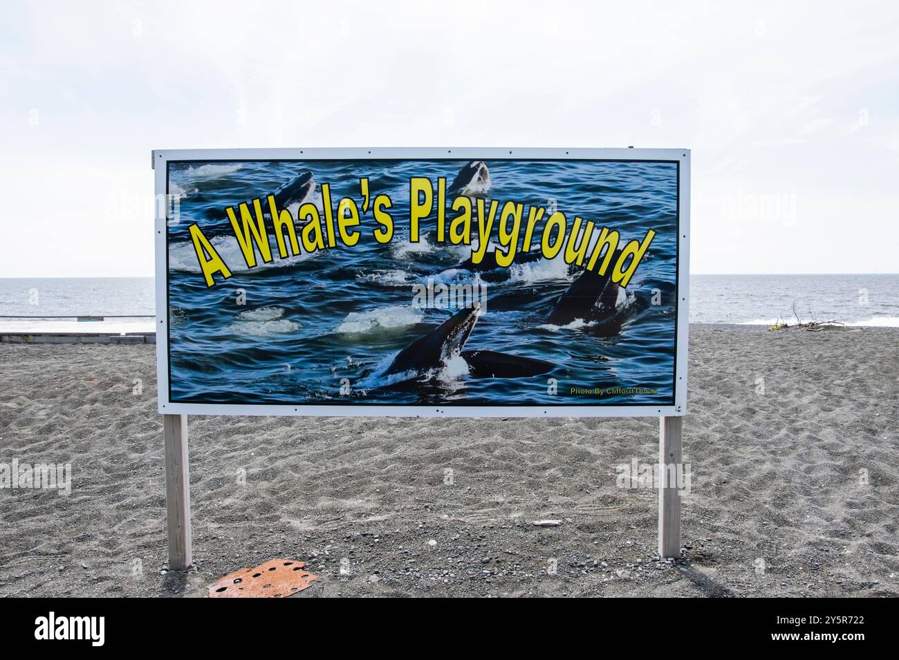 Un cartello per il parco giochi delle balene sulla spiaggia di St. Vincent's–St Stephen's–Peter's River, Newfoundland & Labrador, Canada Foto Stock