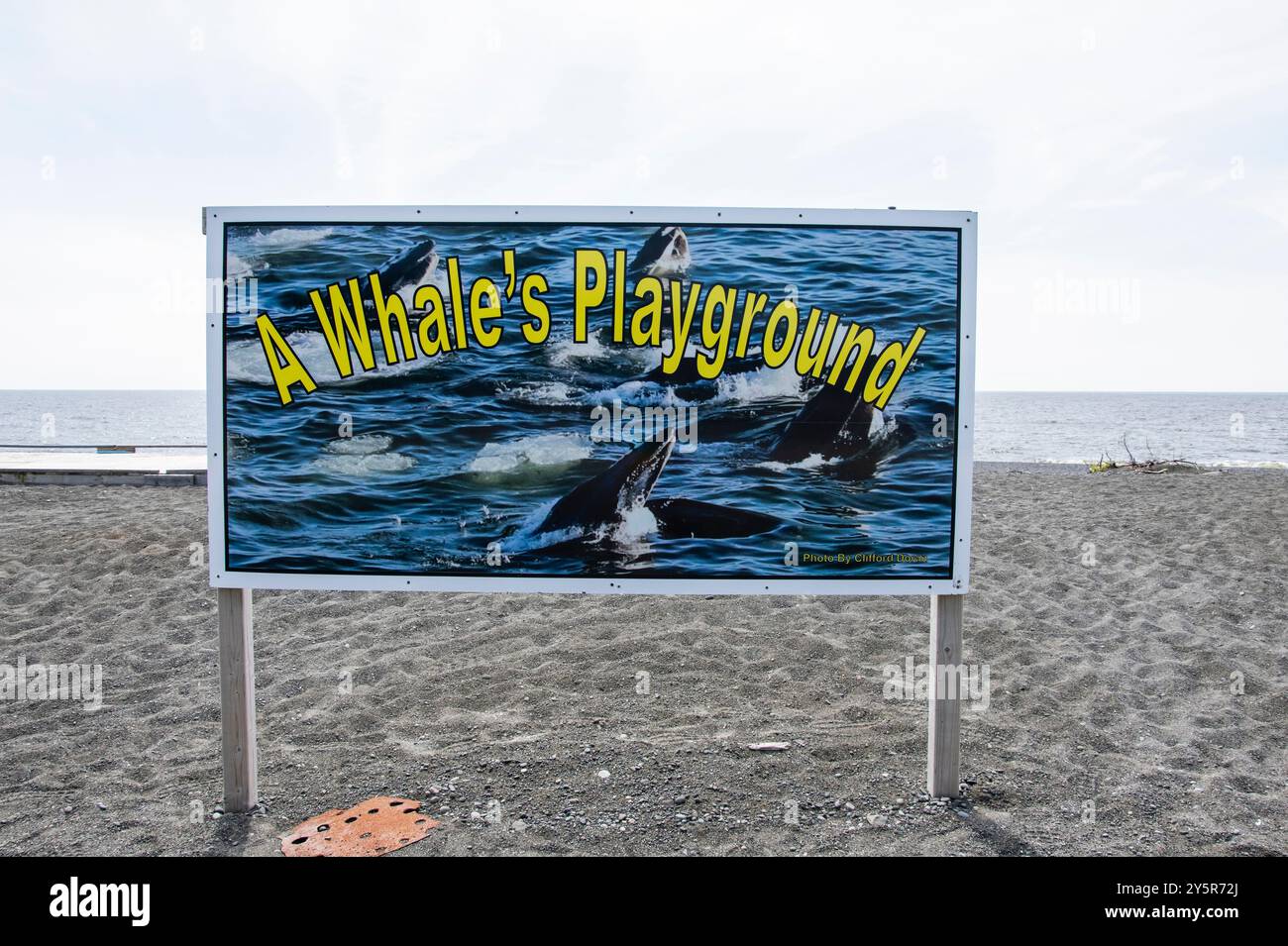 Un cartello per il parco giochi delle balene sulla spiaggia di St. Vincent's–St Stephen's–Peter's River, Newfoundland & Labrador, Canada Foto Stock