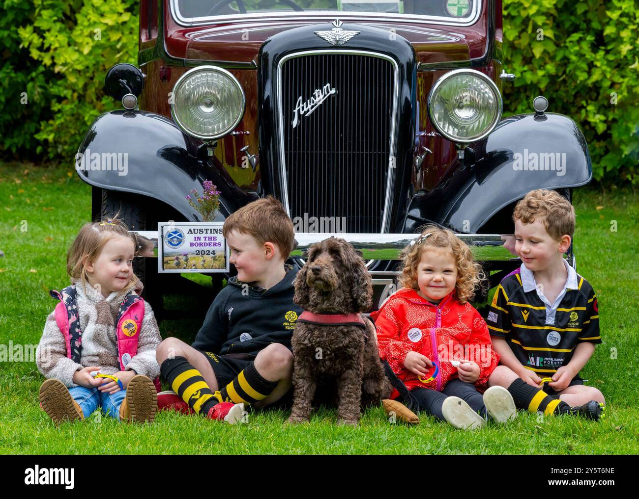 Melrose, Scottish Borders, Regno Unito. 22 settembre 2024. I proprietari britannici di vetture Austin del passato si sono riuniti oggi a Melrose per mostrare al pubblico la collezione di auto d'epoca. Parte da un nuovo evento infestato chiamato Austins nel rally di auto d'epoca Borders. I giovani di Melrose si siedono di fronte ad una classica Austin Light 12/4 Ascot del 1936 con il cockerppo Ruby PIC Credit: phil wilkinson/Alamy Live News Foto Stock