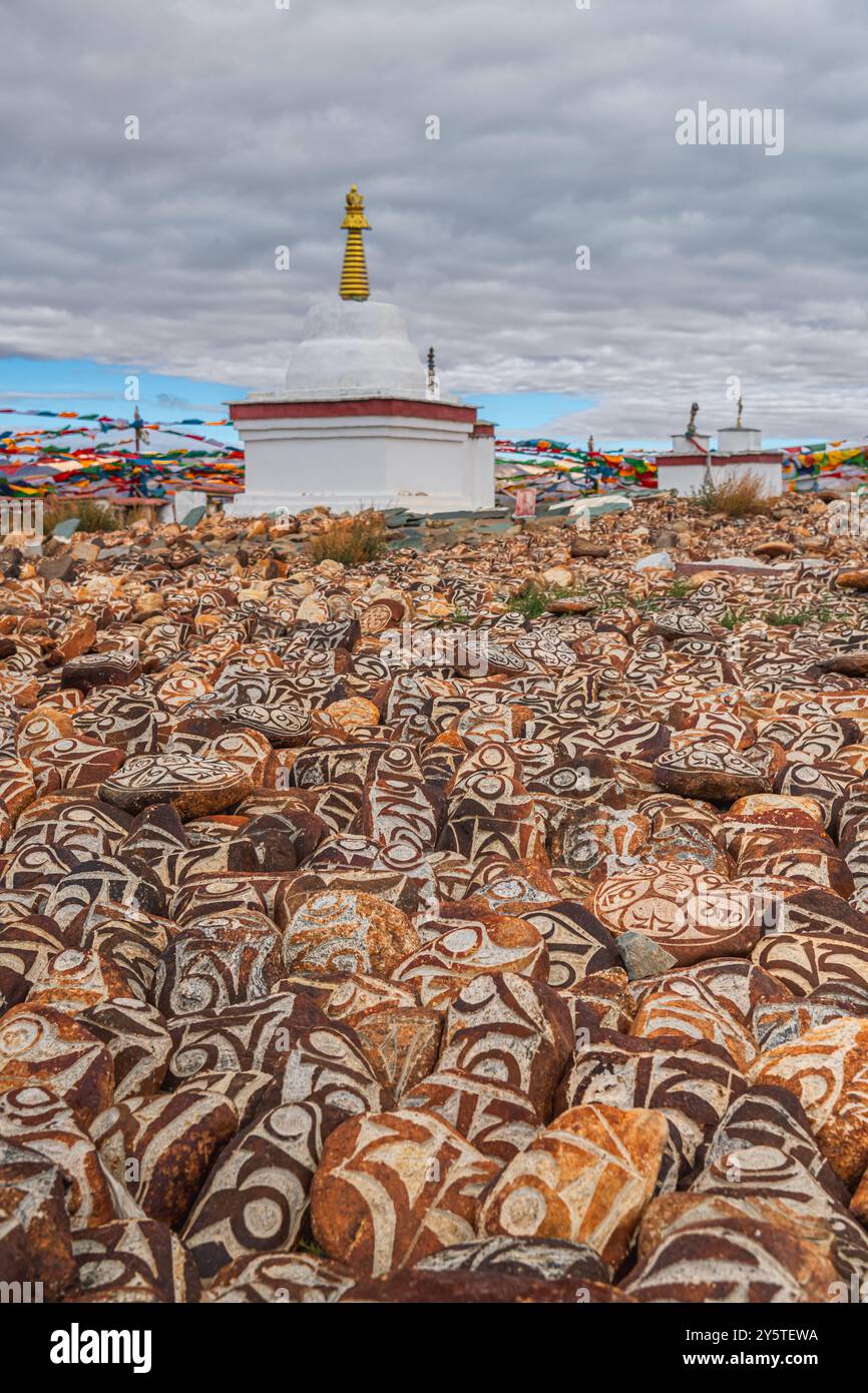 Ciottoli del lago sacro Manasarovar con geroglifici e mantra buddista principale Om mani Padme Hum , che può essere tradotto come Oh Jewel in The Lotus FL Foto Stock