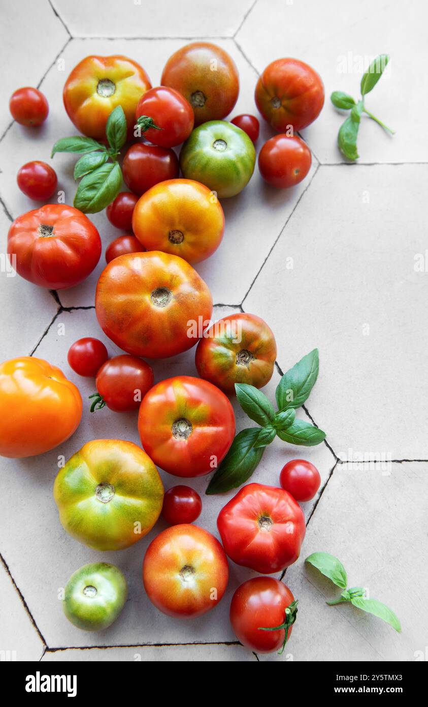 Un variopinto assortimento di pomodori cimellati e foglie di basilico vivaci sono disposti ad arte su un ripiano a piastrelle esagonali, che mostra un raccolto estivo. Foto Stock