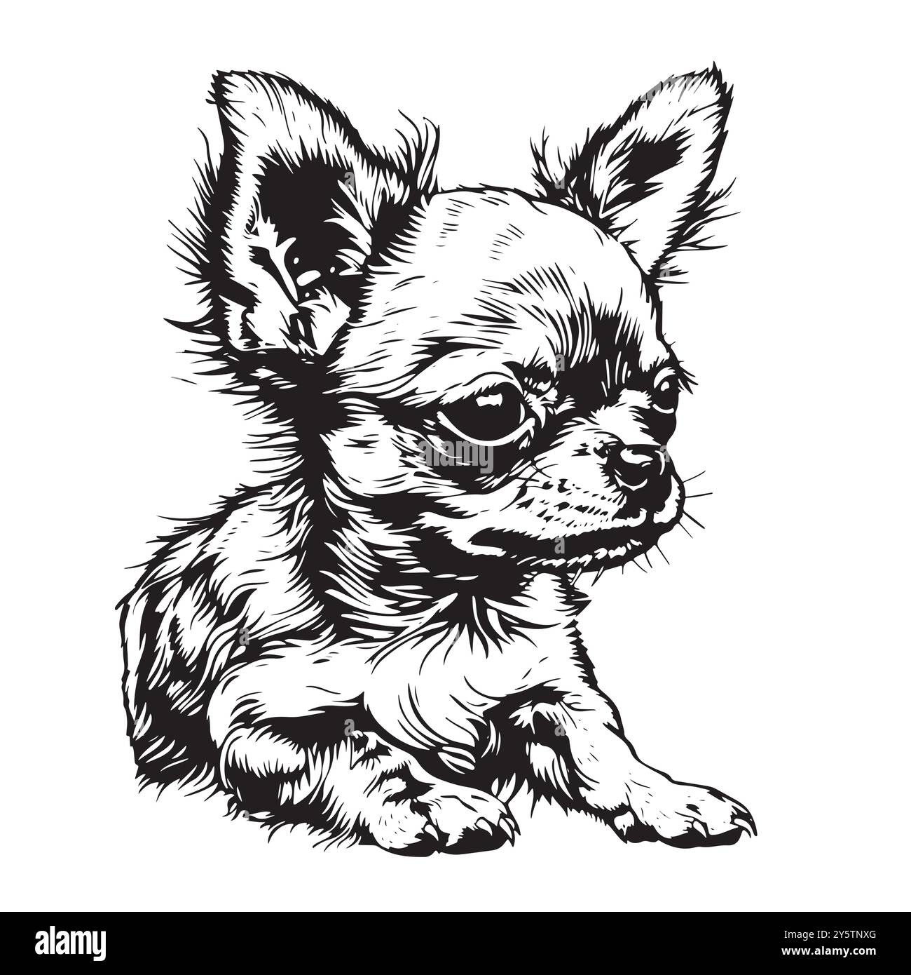 Divertente cucciolo chihuahua. Illustrazione del vettore del cartoni animati del contorno Illustrazione Vettoriale