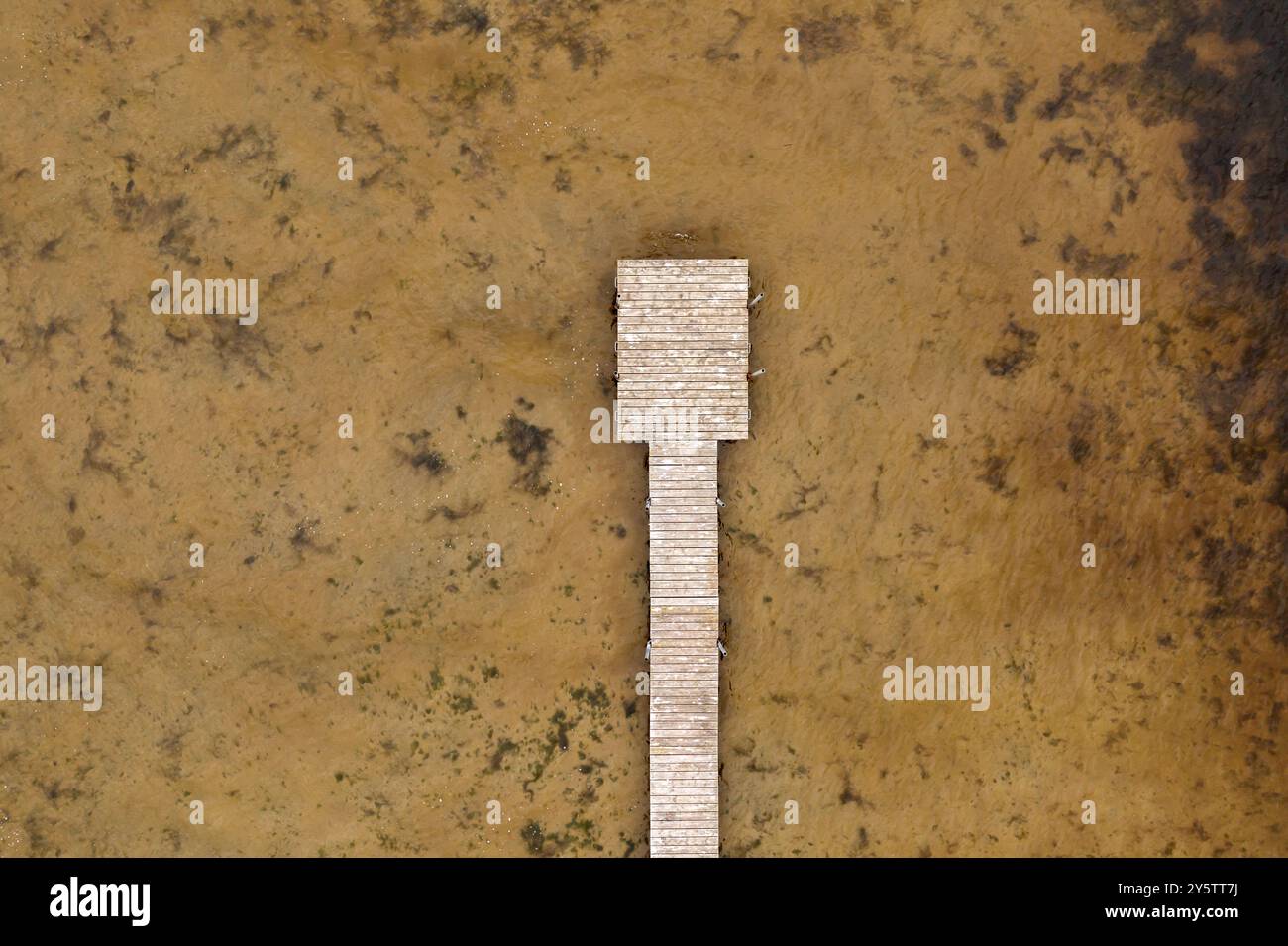 Vista aerea di un molo di legno che si estende in un lago calmo e poco profondo circondato da una terra paludosa Foto Stock