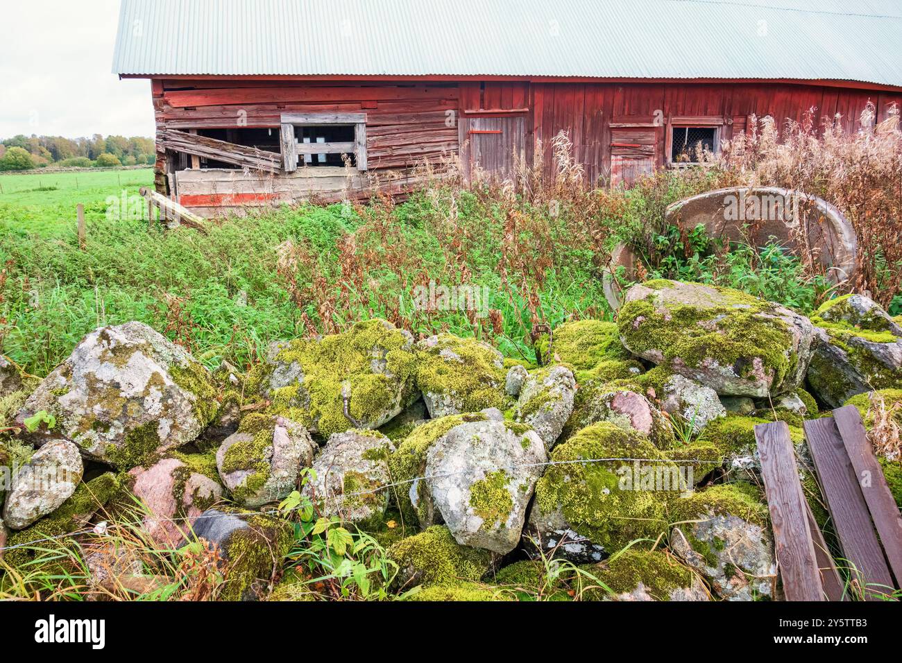 Vecchio fienile rosso in cattive condizioni in campagna vicino a un muro di pietra Foto Stock