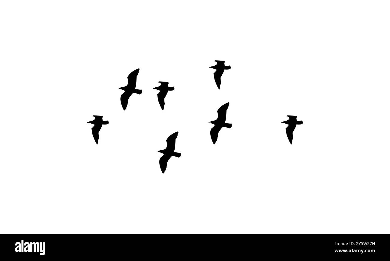 Flying Birds Vector Illustration Collection. Illustrazione Vettoriale