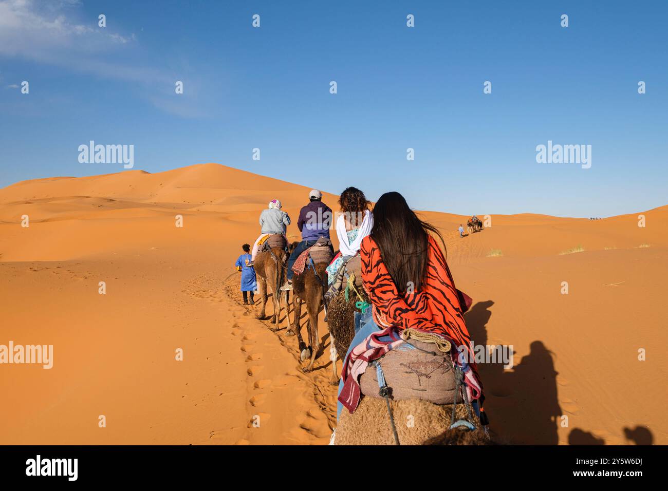 Carovana turistica di cammelli a Erg Chebbi, Merzouga, Taffilalet, Marocco, Africa Foto Stock