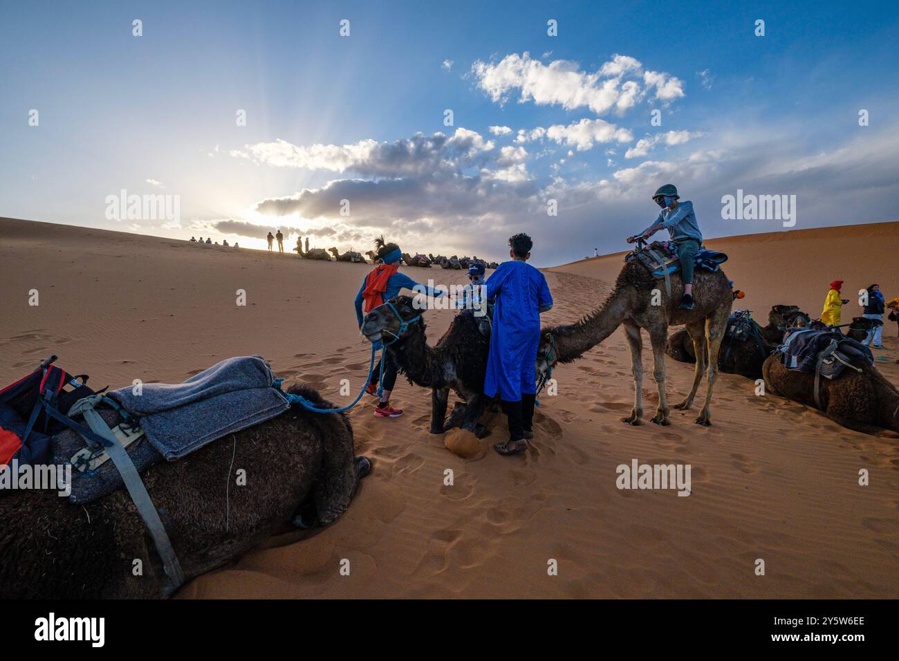 Carovana turistica di cammelli a Erg Chebbi, Merzouga, Taffilalet, Marocco, Africa Foto Stock