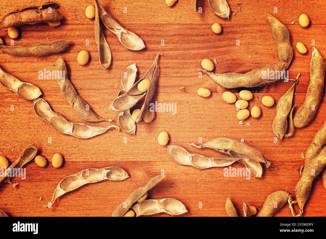 Baccelli e fagioli di soia su scrivania in legno, agricoltura e coltivazione di colture biologiche, vista dall'alto Foto Stock