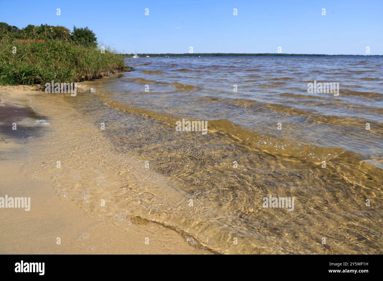 Sulle rive del lago Lacanau in Gironde, nel sud-ovest della Francia. Calma, natura, campagna, ambiente. Lacanau, Médoc, Gironde, Nouvelle Aquitai Foto Stock