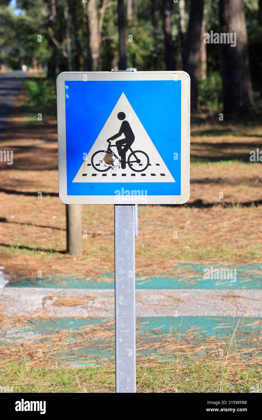 Sulle rive del lago Lacanau in Gironde, nel sud-ovest della Francia. Calma, natura, campagna, ambiente. Lacanau, Médoc, Gironde, Nouvelle Aquitai Foto Stock