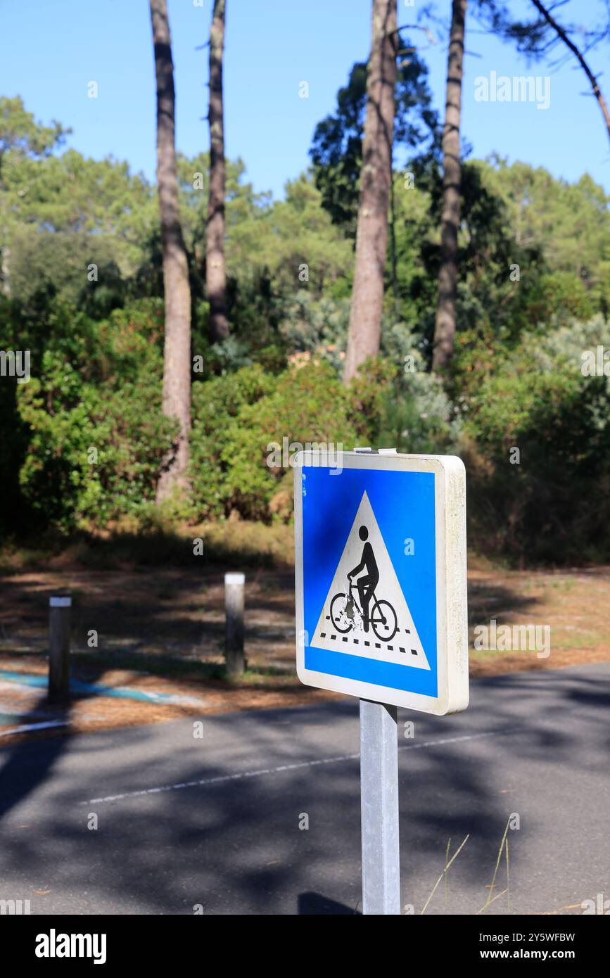 Sulle rive del lago Lacanau in Gironde, nel sud-ovest della Francia. Calma, natura, campagna, ambiente. Lacanau, Médoc, Gironde, Nouvelle Aquitai Foto Stock