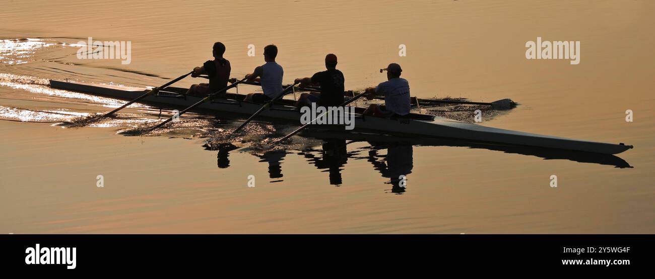 Quattro rematori spingono il loro scull lungo il fiume. Foto Stock