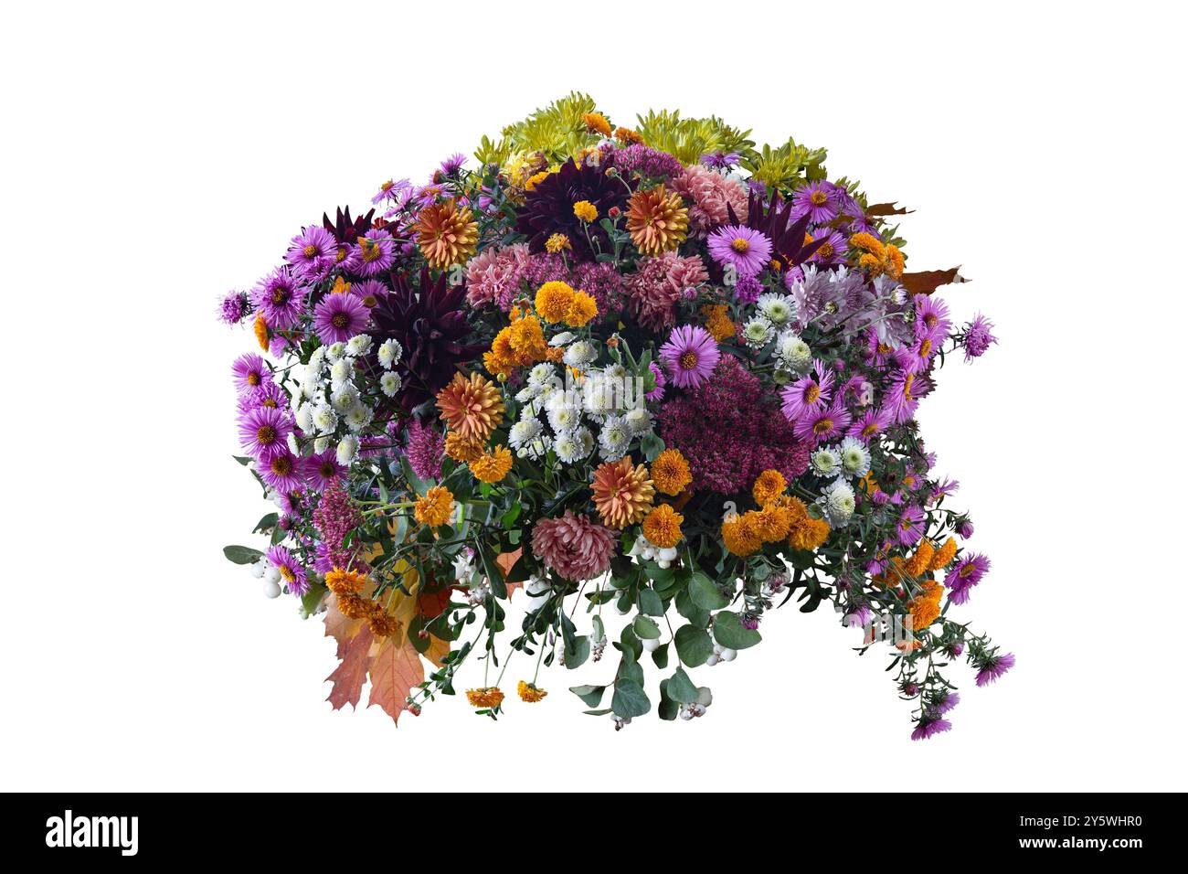 Lussuoso bouquet autunnale su sfondo bianco Foto Stock