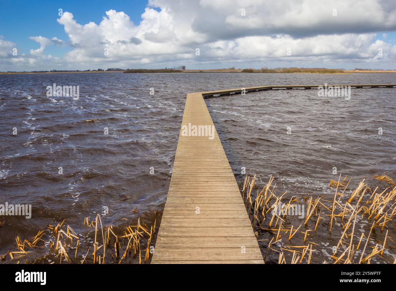 Sentiero in legno sul lago a Roegwold, Groningen, Paesi Bassi Foto Stock